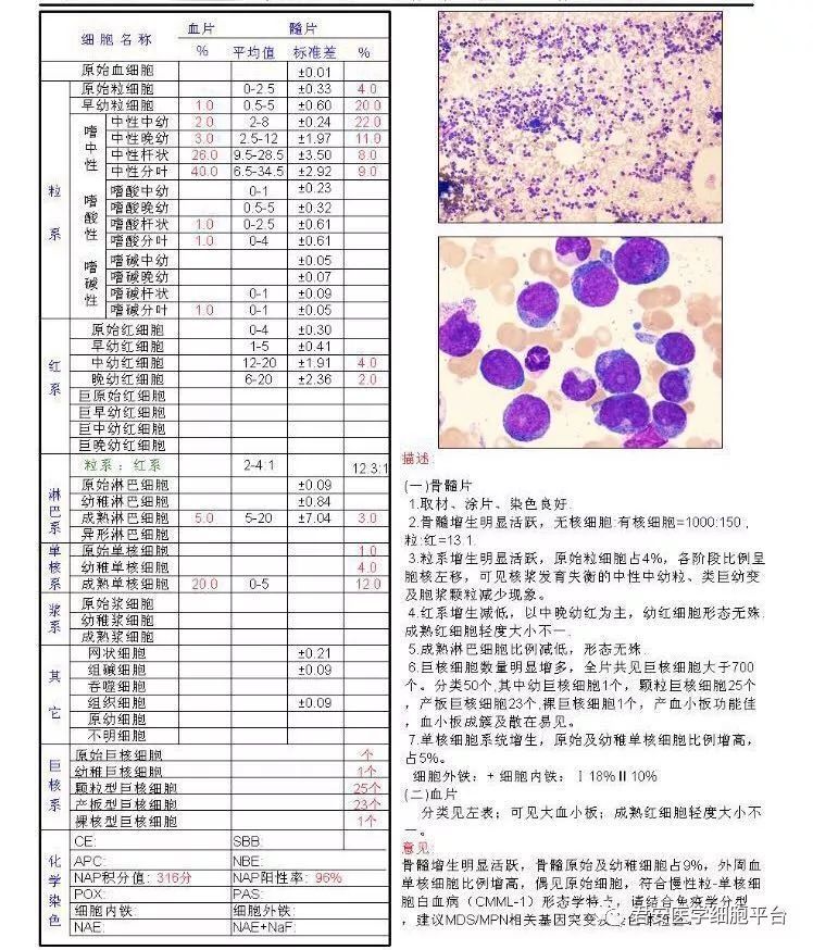 澳门威斯尼斯8883入口